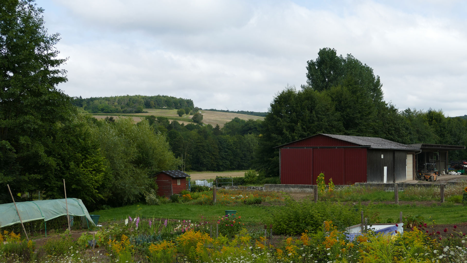 Bildpunkt 7 vorher